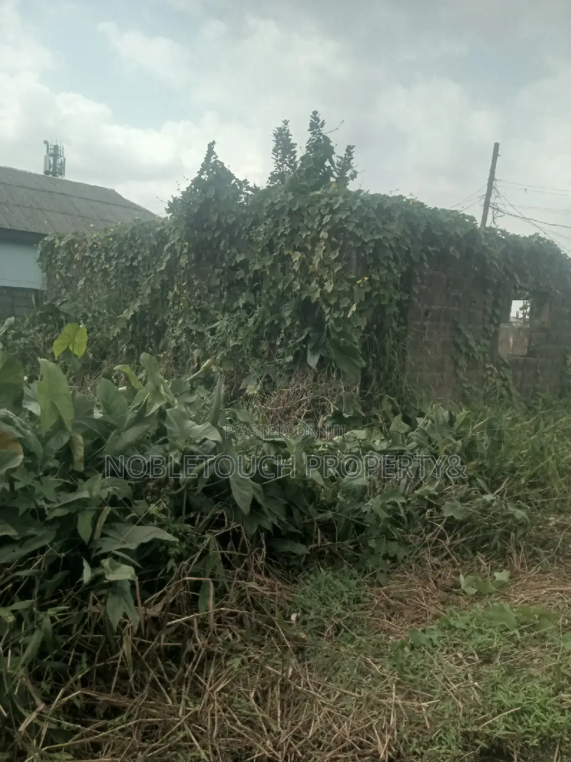 Half Plot of Land at Council Idimu for Sale in Iseri Olofin