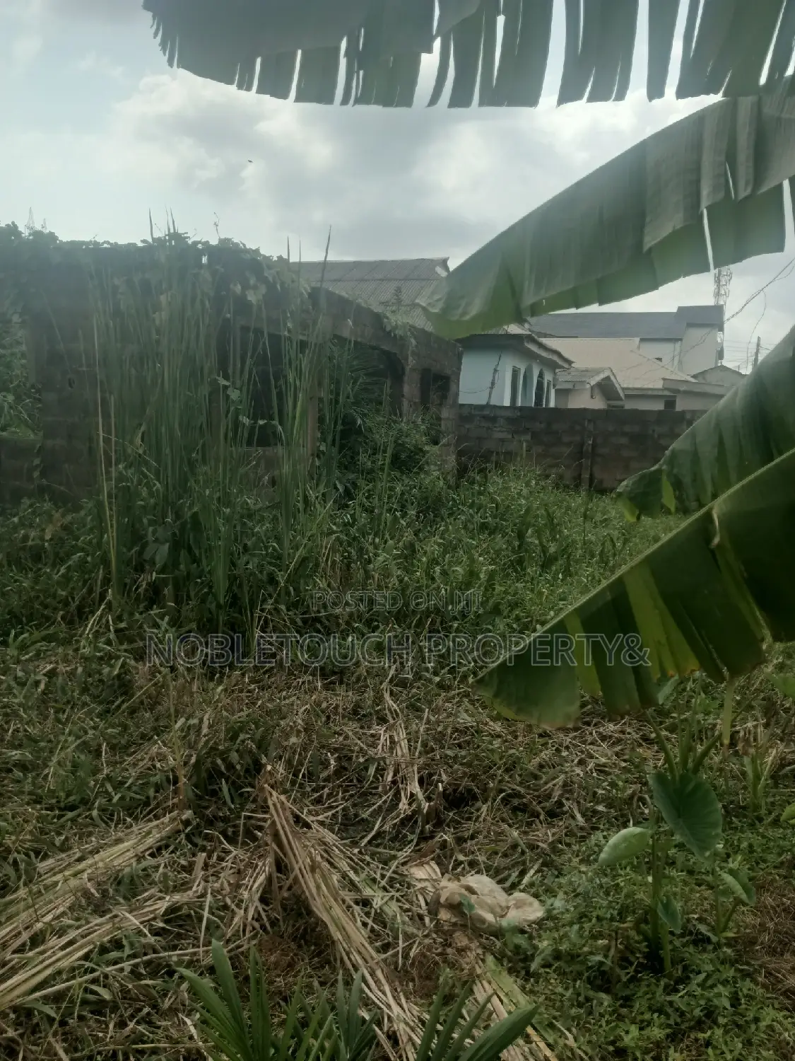 Half Plot of Land at Council Idimu for Sale in Iseri Olofin