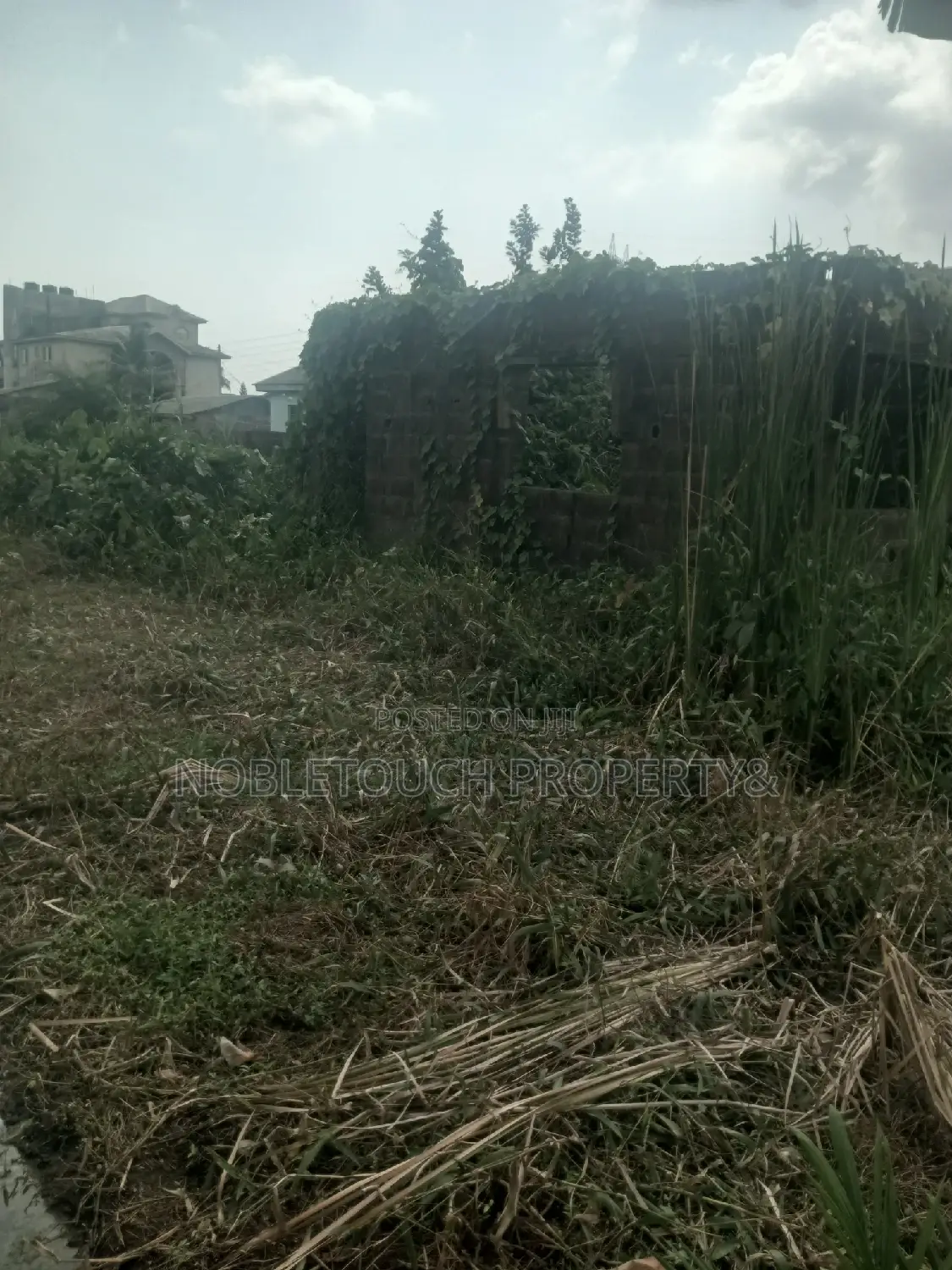 Half Plot of Land at Council Idimu for Sale in Iseri Olofin