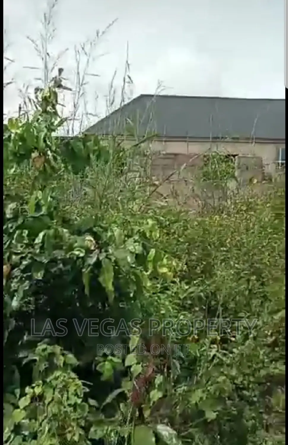 More Than Two Plots of Land at Poly Nekede New Gate in Owerri