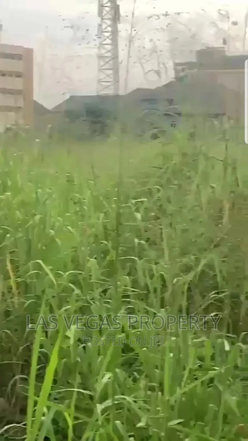 1000sqm of Land Around 40/40 New Owerri Imo State for Sale in Owerri