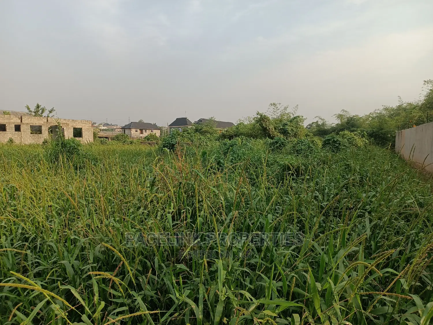 Full Plot of Land in a Good Location at Ikola Command in Ipaja Road