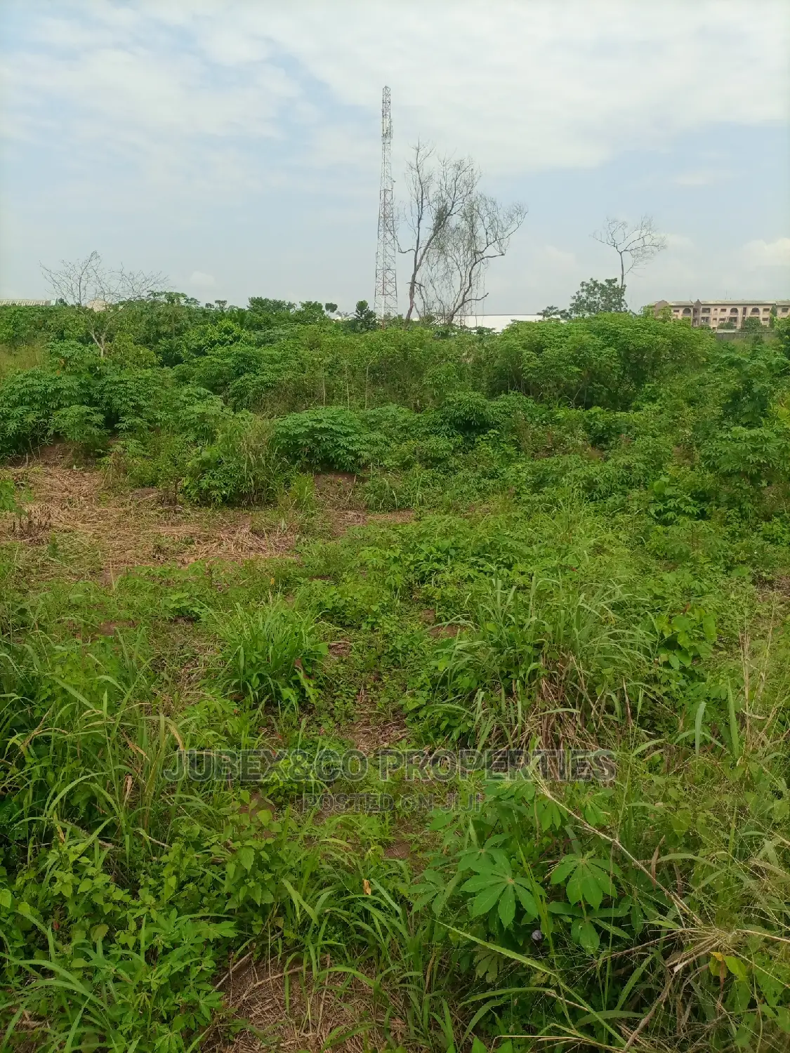 Half Plot of Land for Sale at Peace Estate Alimosho in Alimosho