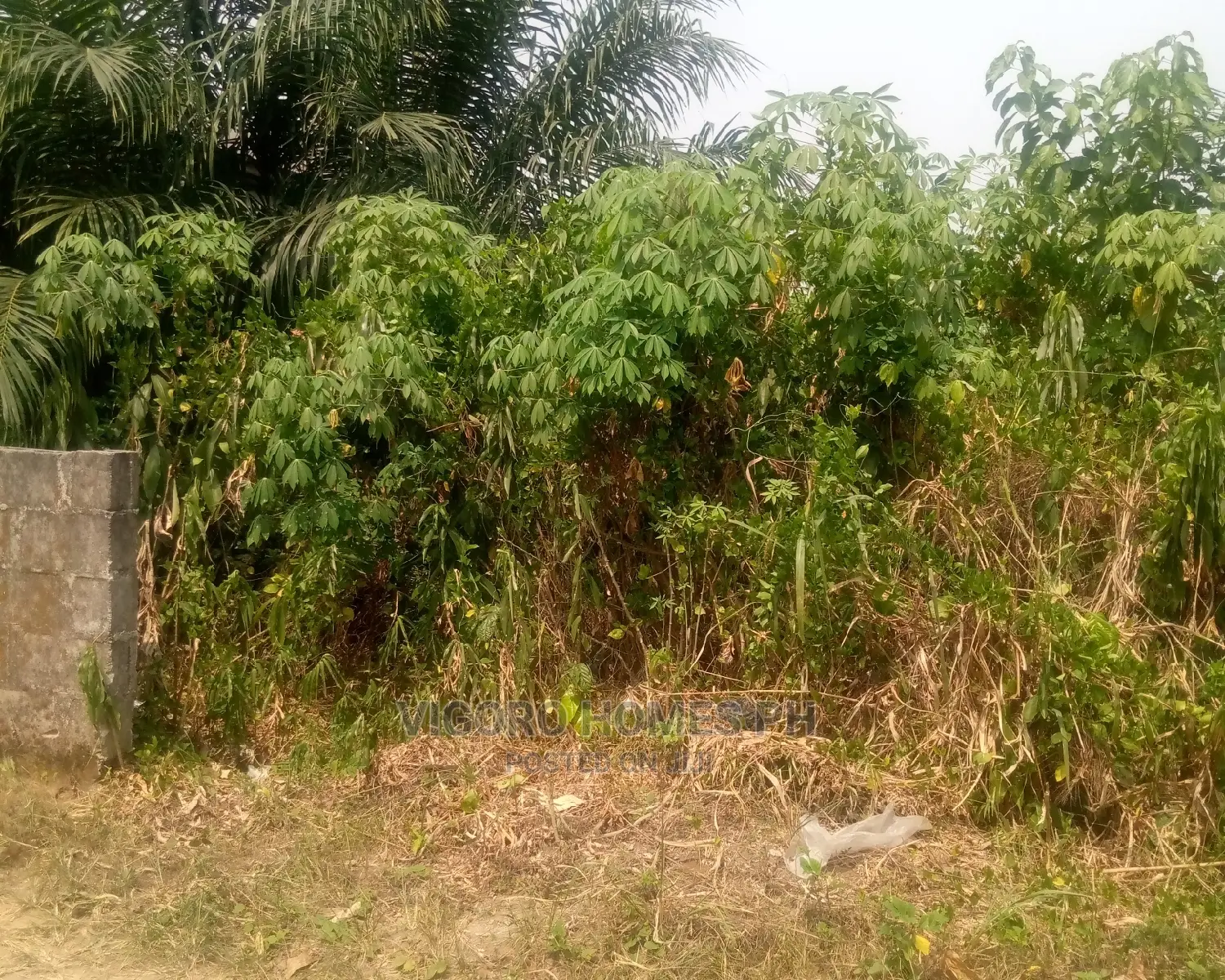 Buy and Buikd to a Standard in Port-Harcourt