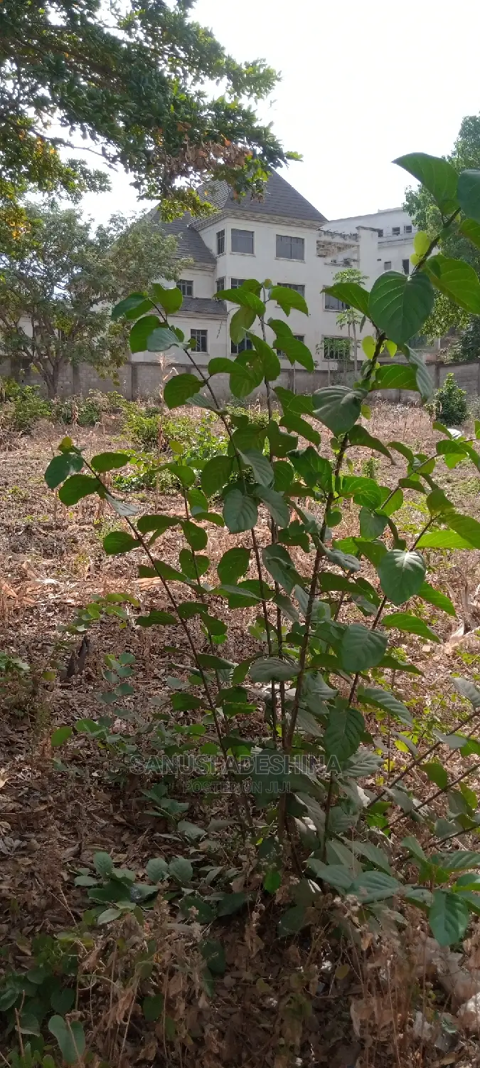 A Very Good Plot About 1600sqm Located at Wuye FCT Abuja Nig in Wuye