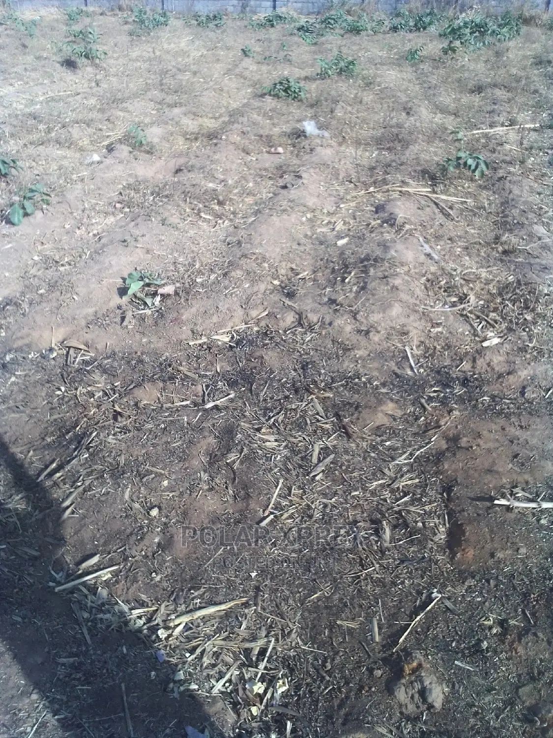 Lands for Sale, Military Pension Board Fo1 Kubwa in Kubwa