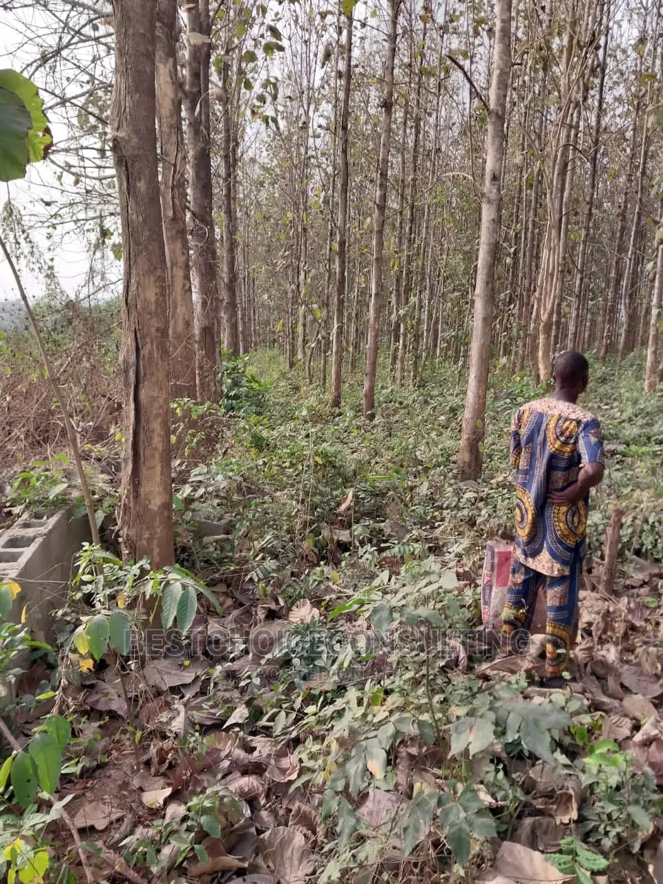 10plots of Lands for Sale at Odeda by the Road Side in Odeda