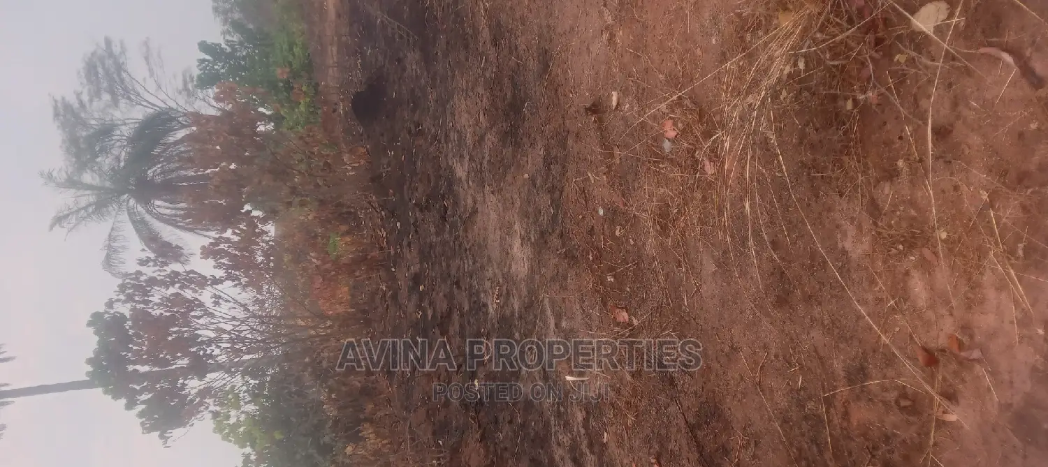 One Plot of Land for Sale at Avinaproperties Eziobodo in Owerri