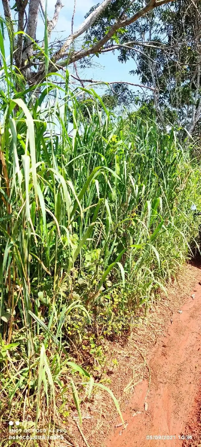 150 Acres of Fertile Land for Sell in Abeokuta South