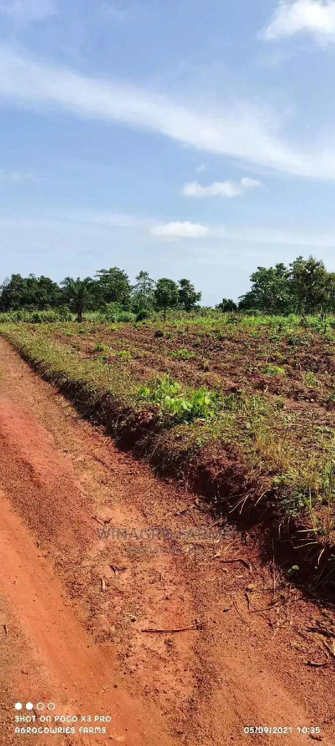 Promise Land for Farming in Abeokuta South