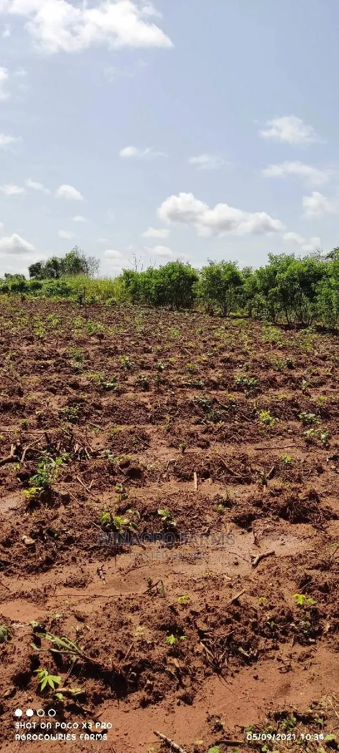 Promise Land for Farming in Abeokuta South
