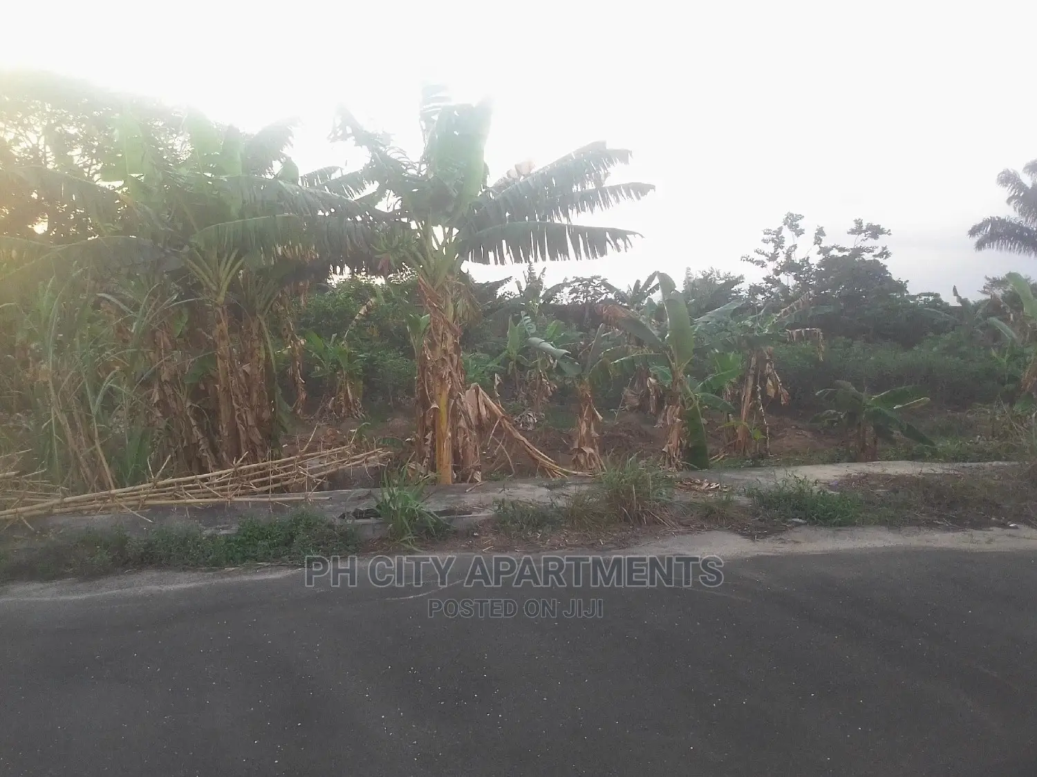Deed of Conveyance in Port-Harcourt
