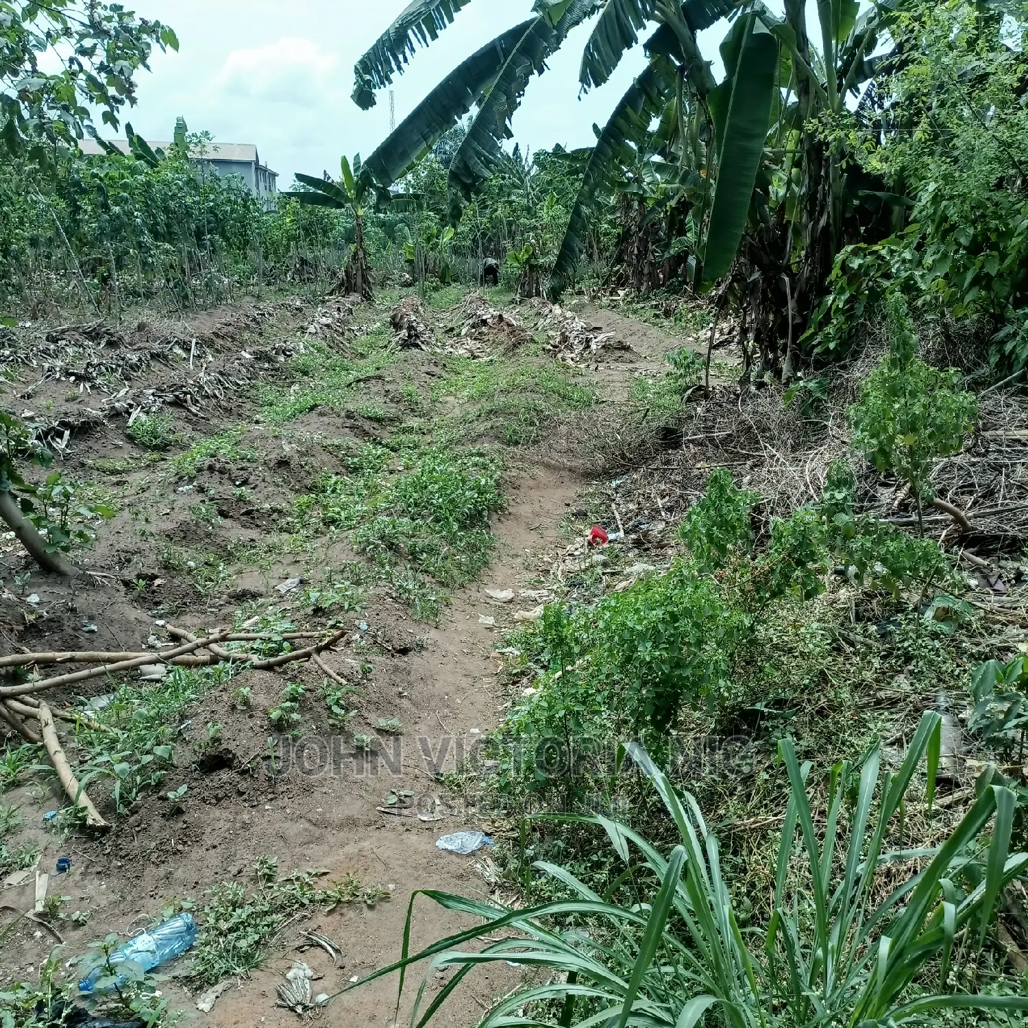 Reciept, Deed of Agreement and Certificate of Occupancy in Egbe / Ikotun/Igando