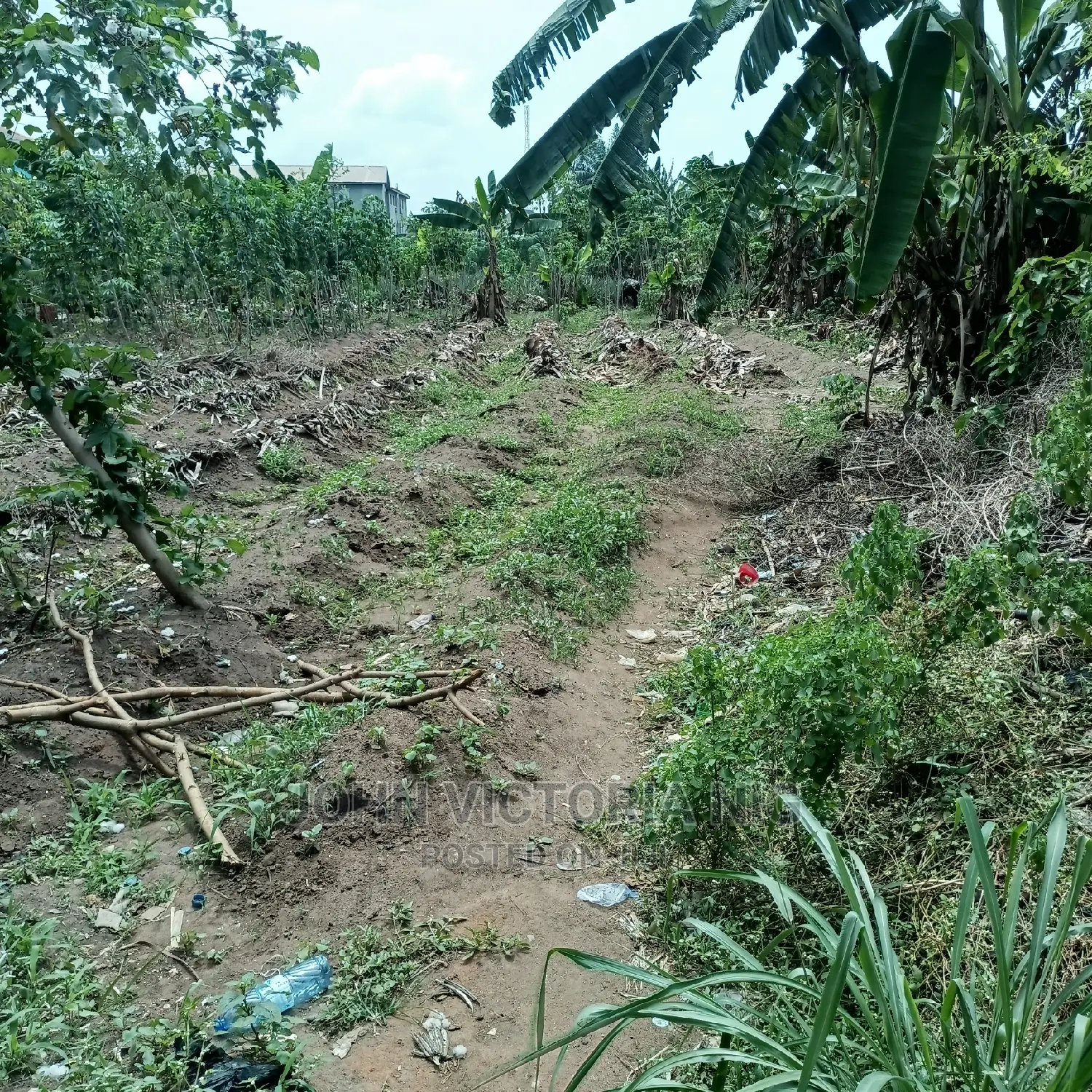 Reciept, Deed of Agreement and Certificate of Occupancy in Egbe / Ikotun/Igando