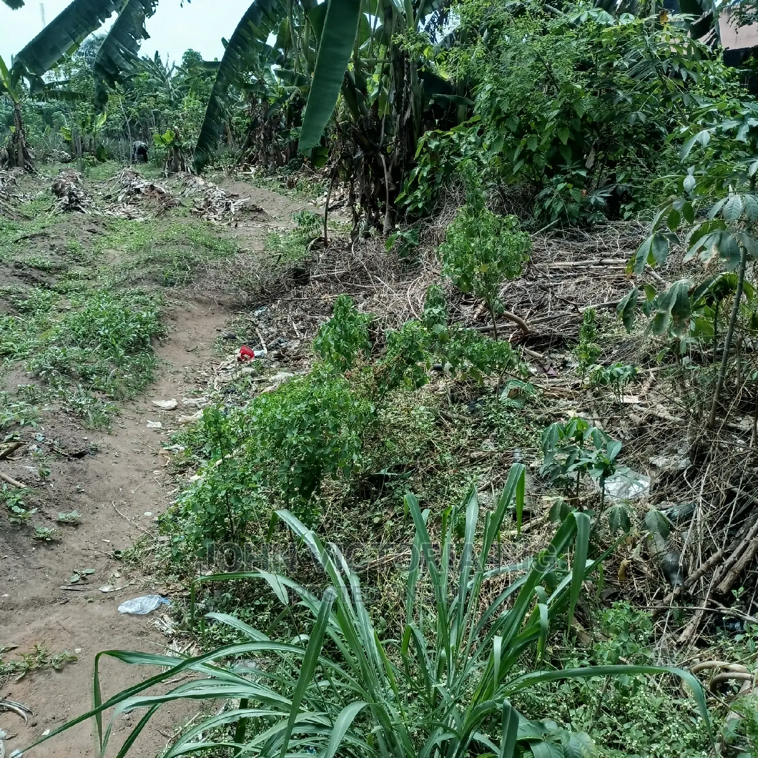 Reciept, Deed of Agreement and Certificate of Occupancy in Egbe / Ikotun/Igando