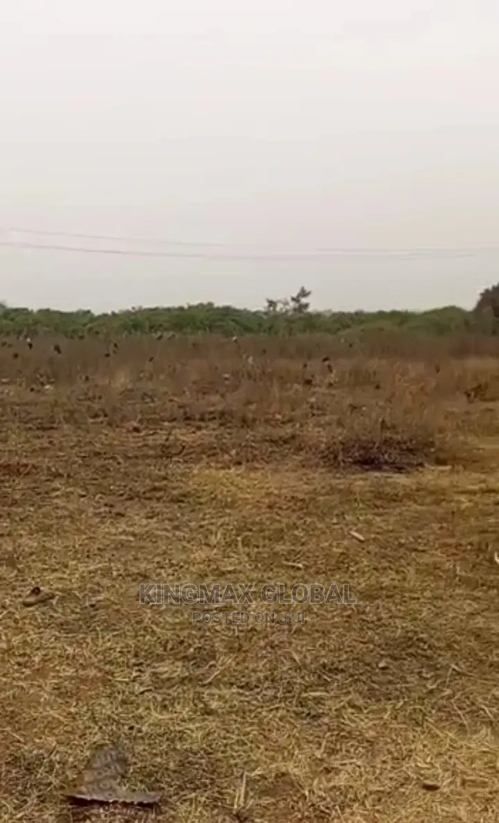 Buildable and Liveable Fenced and Gated Land, Katampe in Katampe (Main)