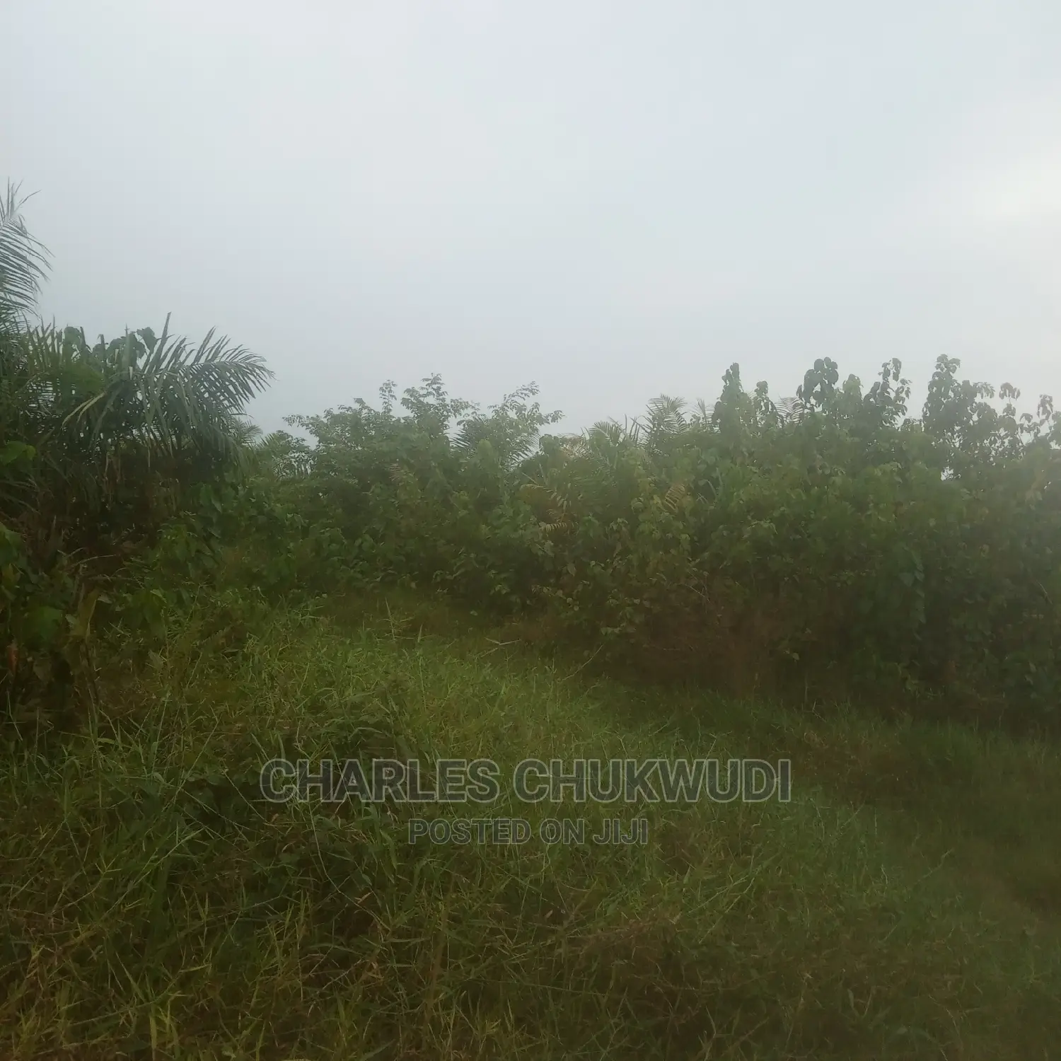 220 Plots of Land at Ibeju Lekki Lagos in Ibeju