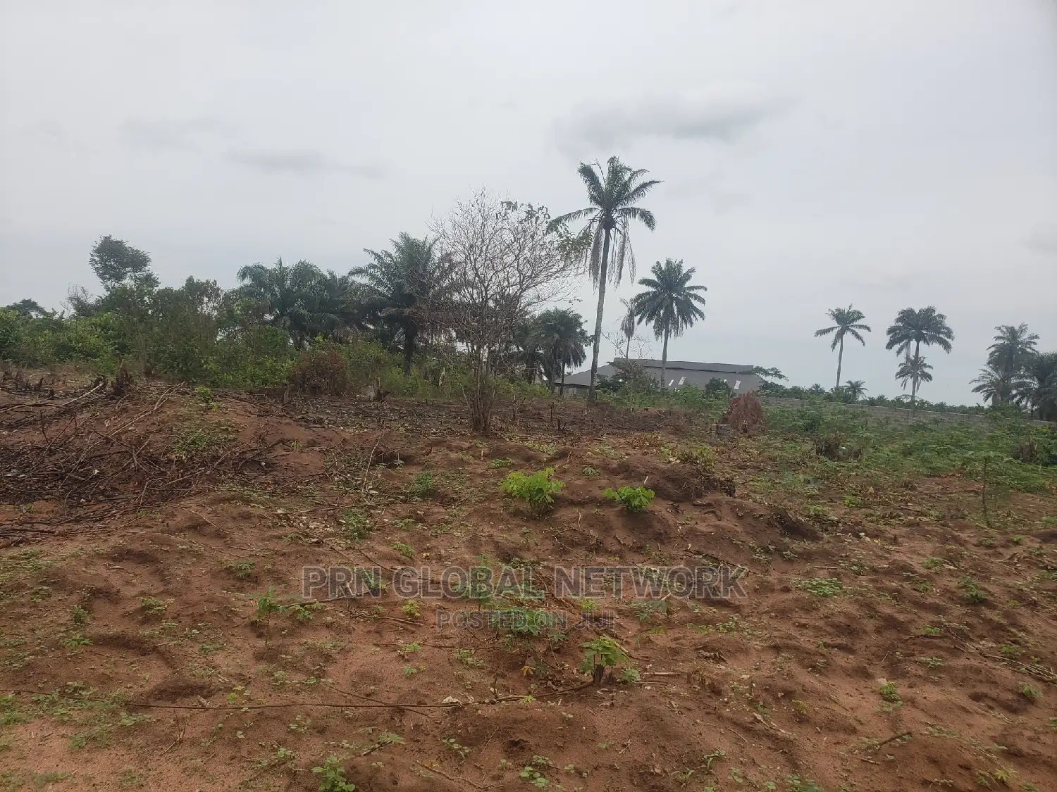 Plots Of Lands Available At Mgbirichi Waiting For A Buyer. in Owerri