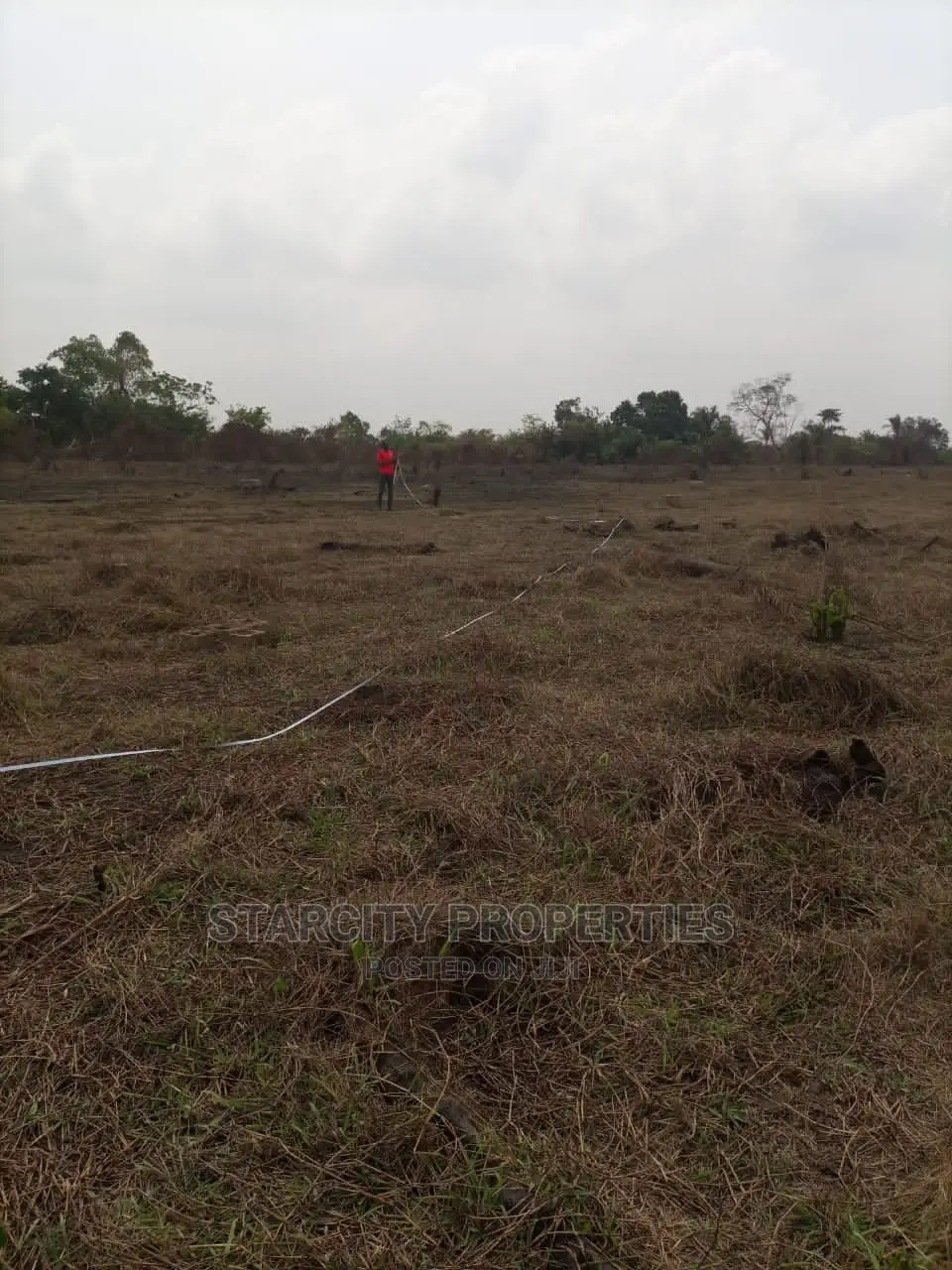 Acres of Land at Ewekoro Sango Ota Ogun State for Sale in Ewekoro