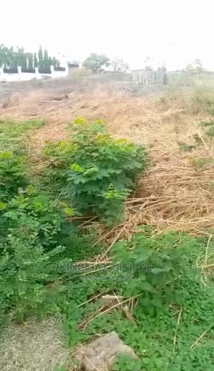 Presidential Villa Plot of Land for Sale, Size Is 2700sqm in Asokoro