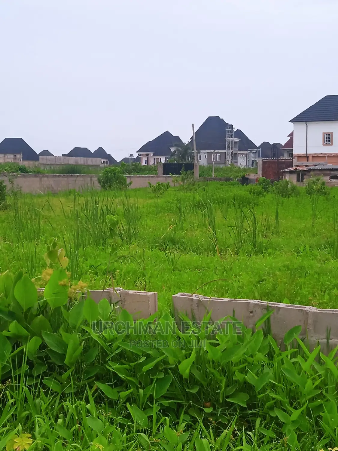 A Good Plots of Land in a Good Developed Area in Abule Ado