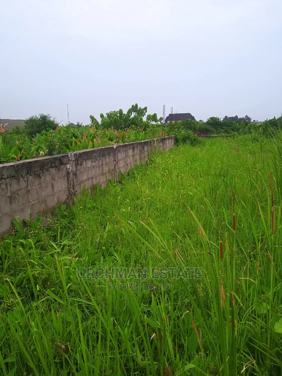 Standard Plots of Land Almost Dry in a Developing Area in Abule Ado