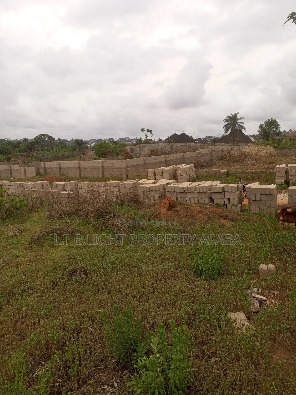Land Measuring 100ft by 200ft for Sale in Oshimili North