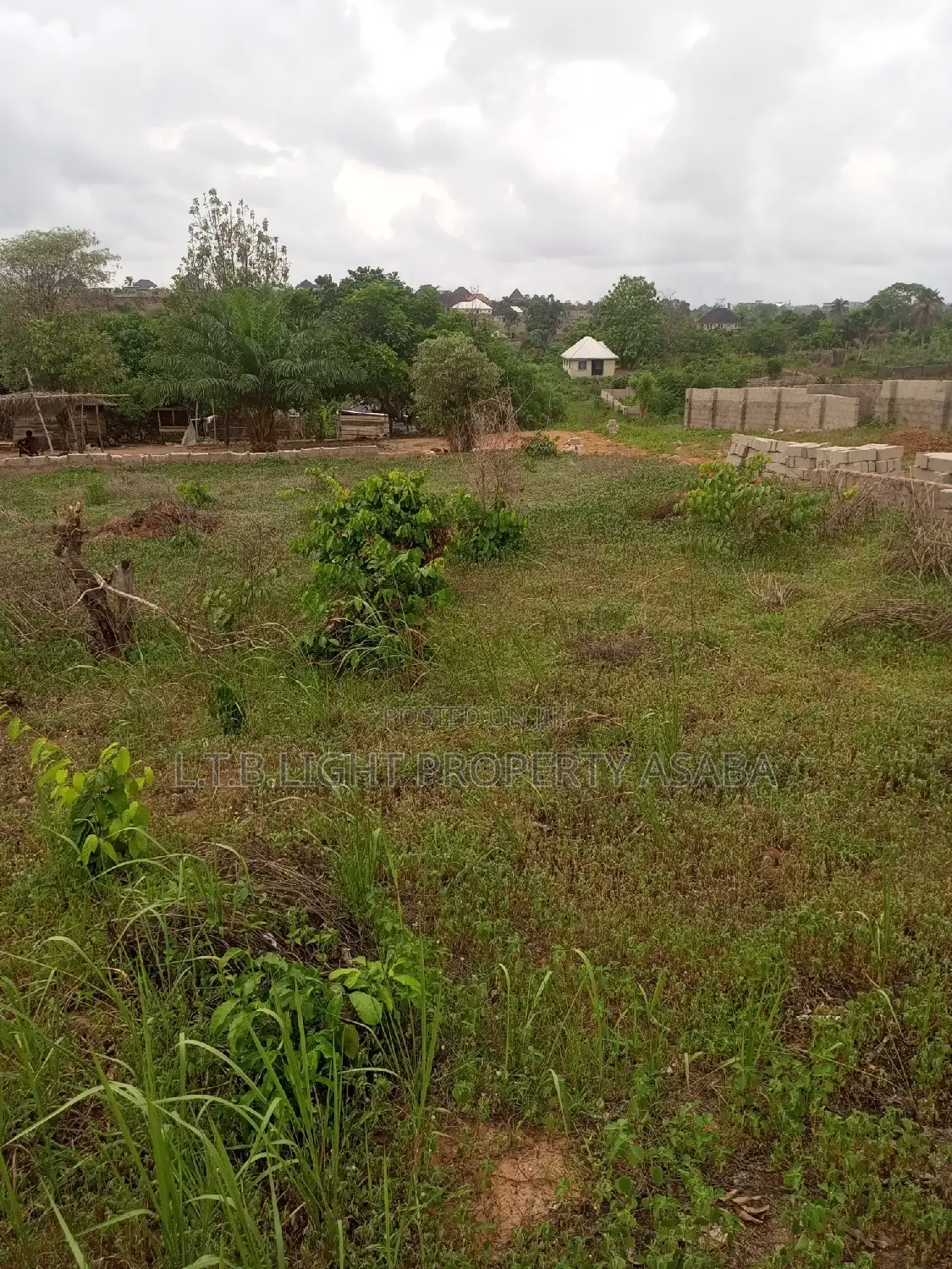 Land Measuring 100ft by 200ft for Sale in Oshimili North
