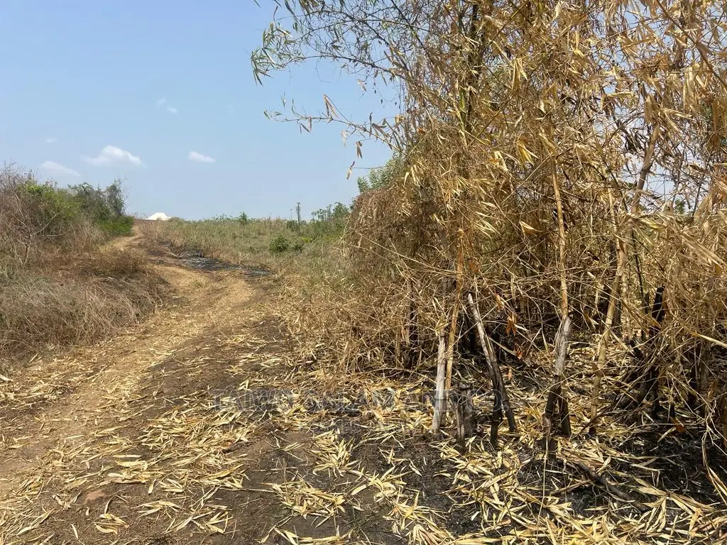 20 Acres Estate Land Along Tared Road Ologuneru Ido in Ologuneru