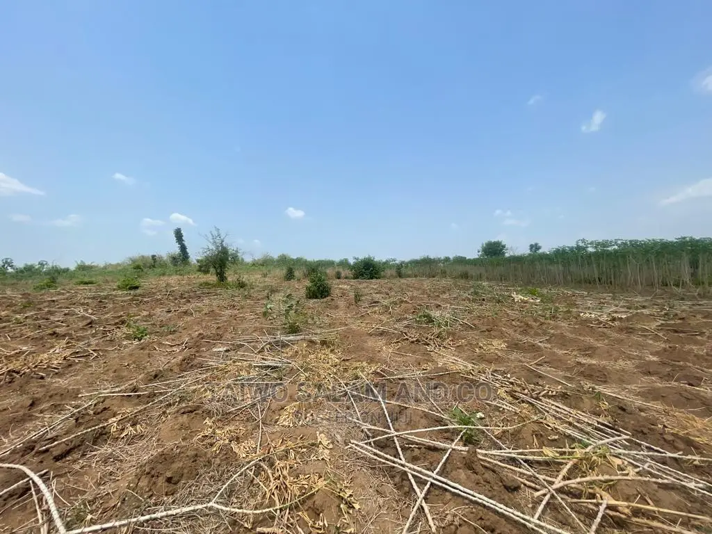 20 Acres Estate Land Along Tared Road Ologuneru Ido in Ologuneru