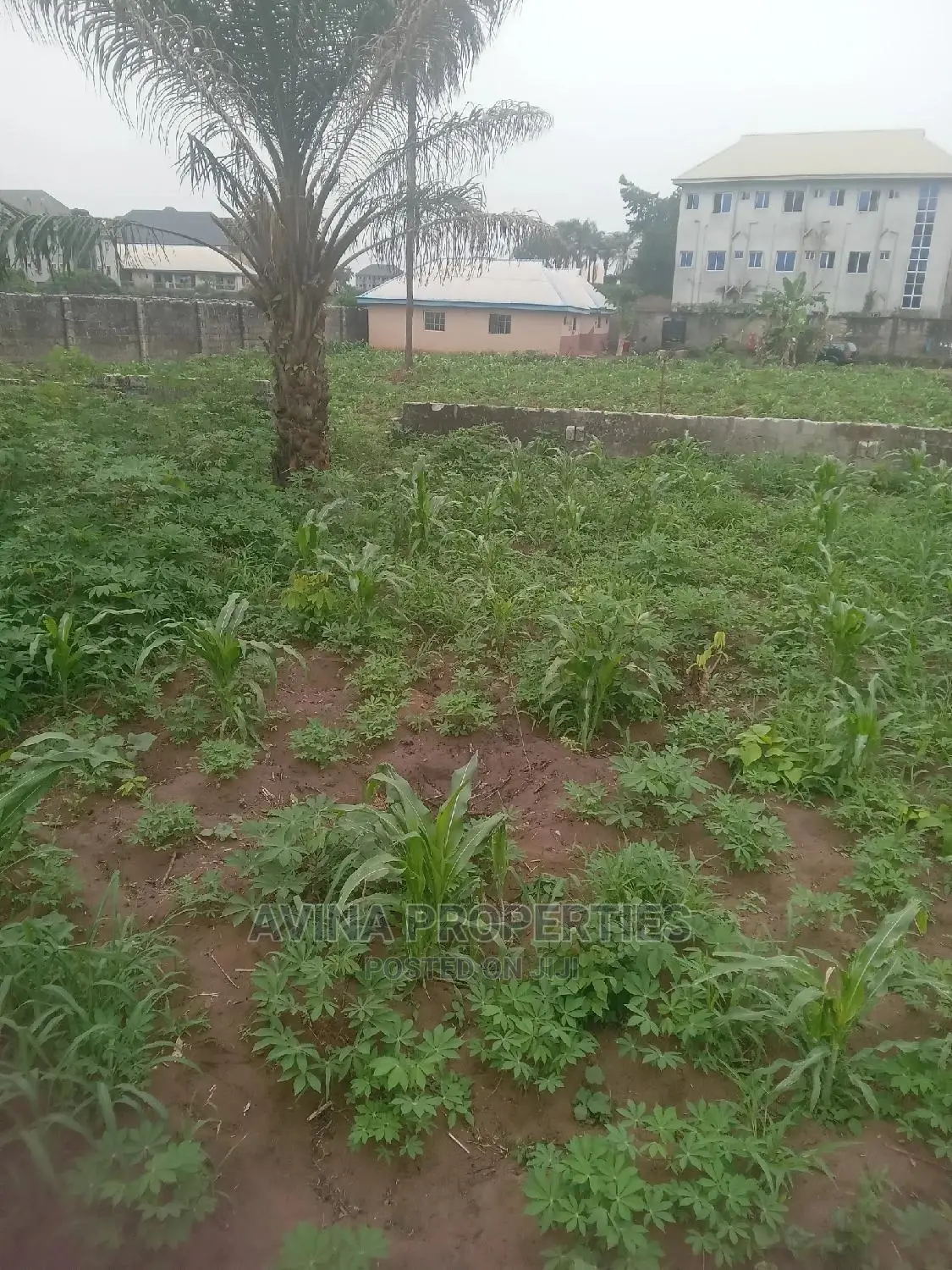 Already Fence Plot of Land at Avina Properties Owerri in Owerri