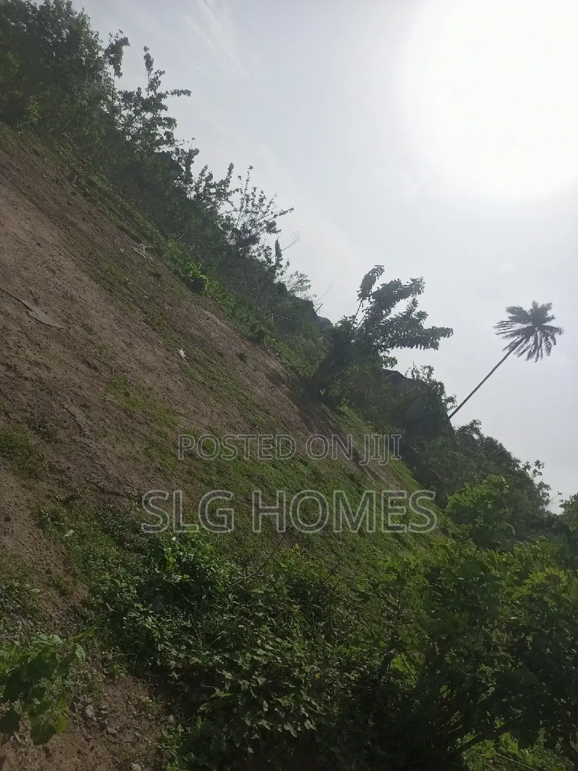Plots of Land for Sale in Akure With Concrete Document in Akure