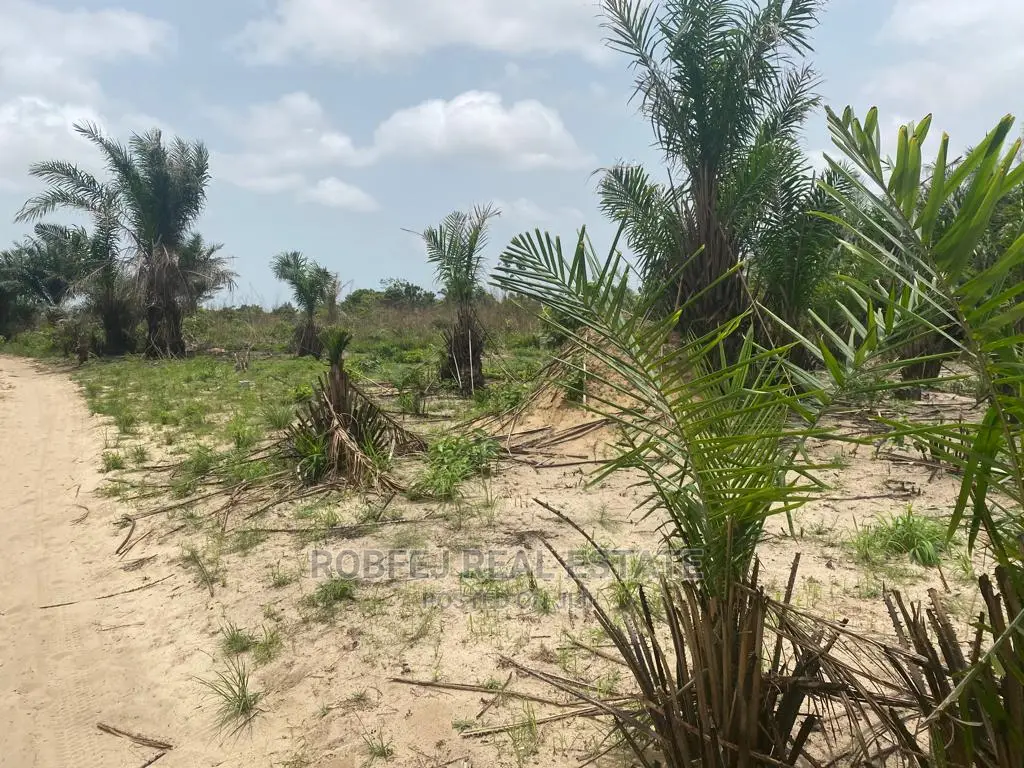 20 Plots Piece of Your Own Paradise in Elerangbe
