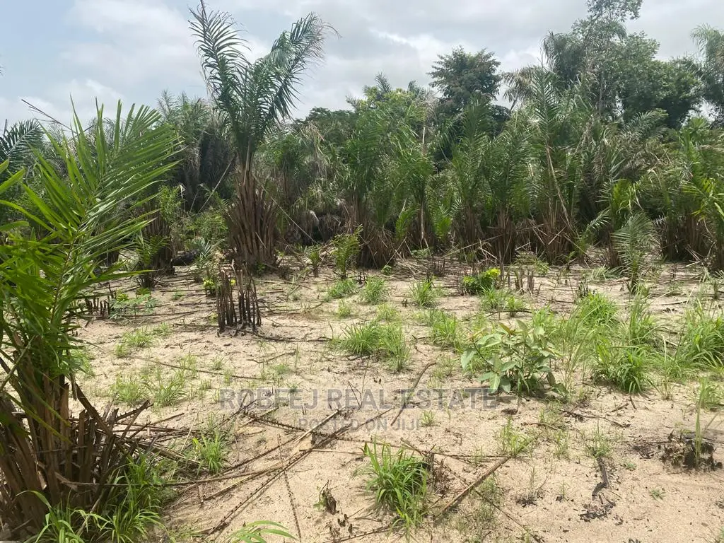 20 Plots Piece of Your Own Paradise in Elerangbe