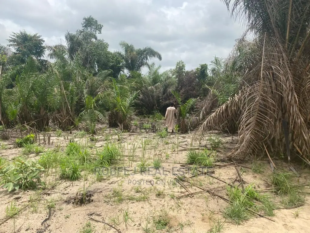 20 Plots Piece of Your Own Paradise in Elerangbe