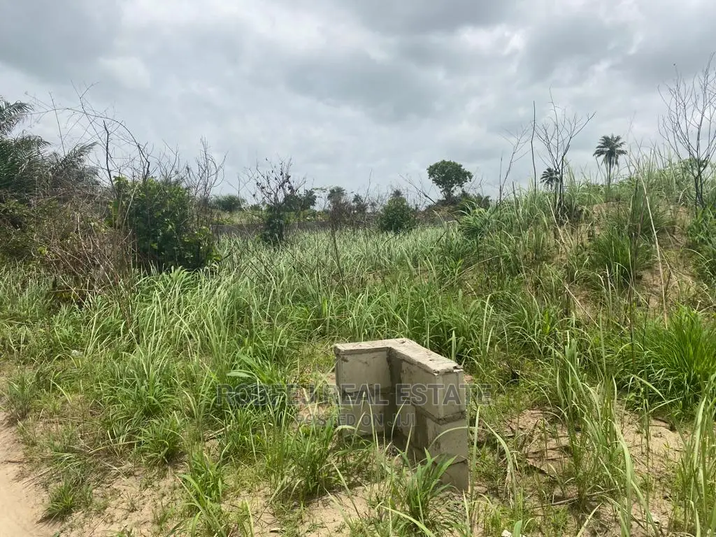 20 Plots Piece of Your Own Paradise in Elerangbe