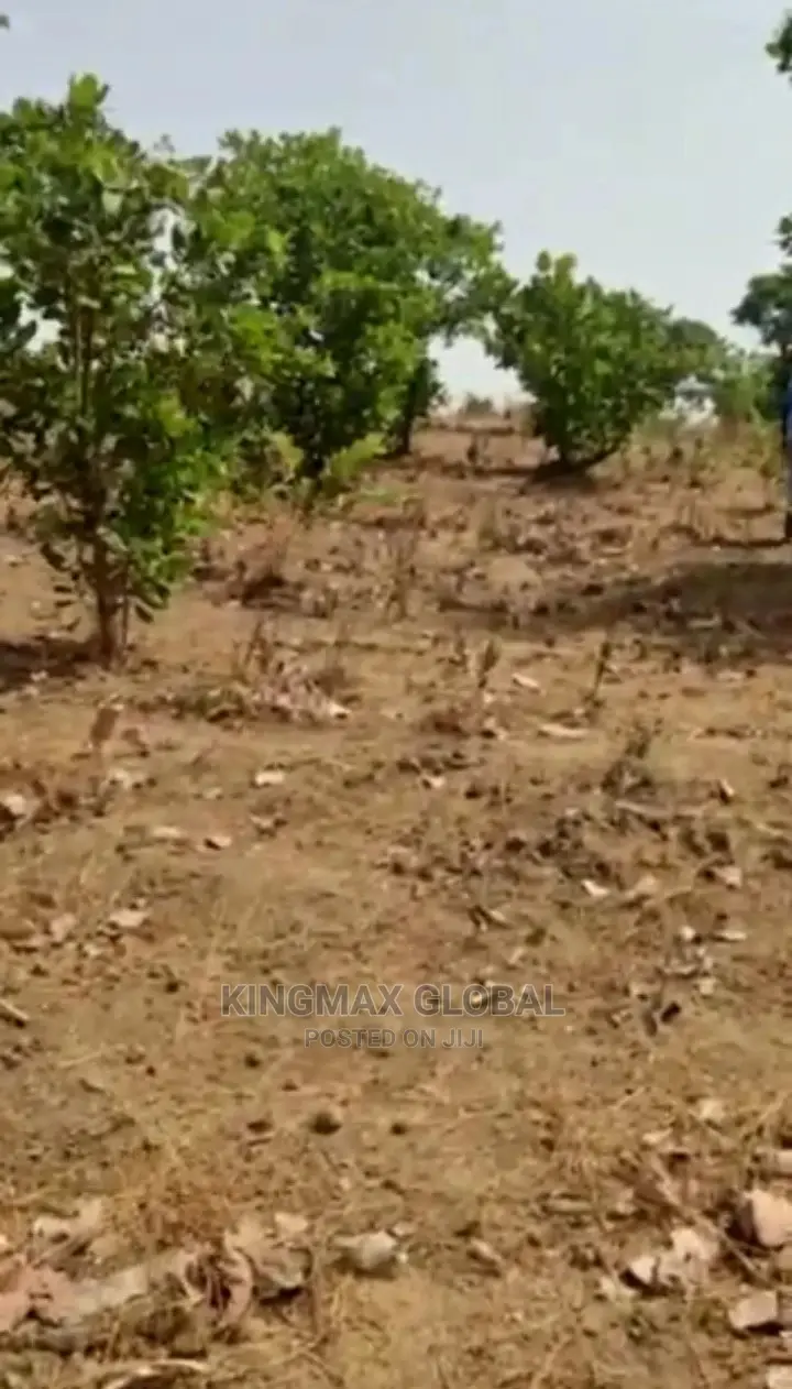 A Land Measuring 5001sqm in Good Location Is Out for Sale in Maitama