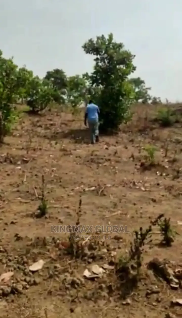A Land Measuring 5001sqm in Good Location Is Out for Sale in Maitama