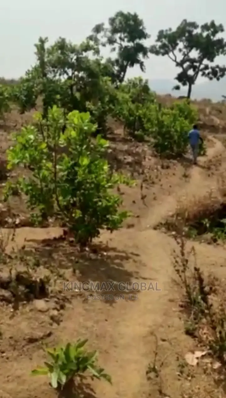 A Land Measuring 1200sqm in Good Location Is Out for Sale in Maitama