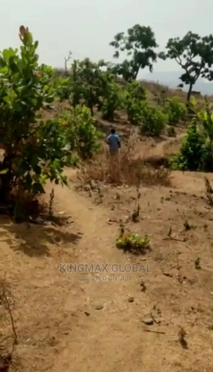 Hot Sale in Jahi: A Well Located Housing Estate Plot 1.19ha in Jahi