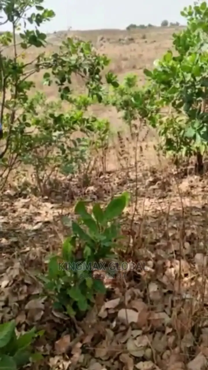 Hot Sale in Jahi: A Well Located Housing Estate Plot 1.19ha in Jahi