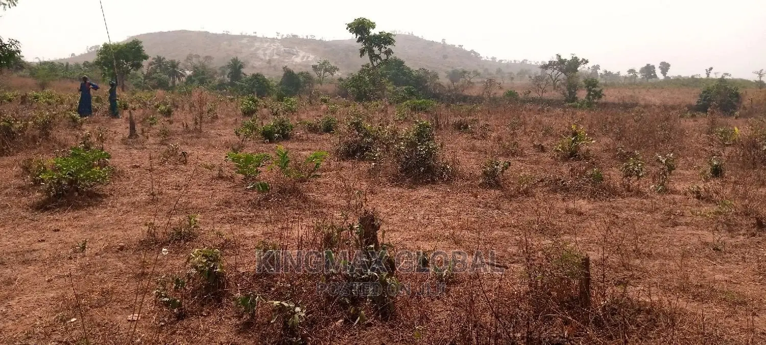 Maitama2: Strategically Located Flat Land in Maitama