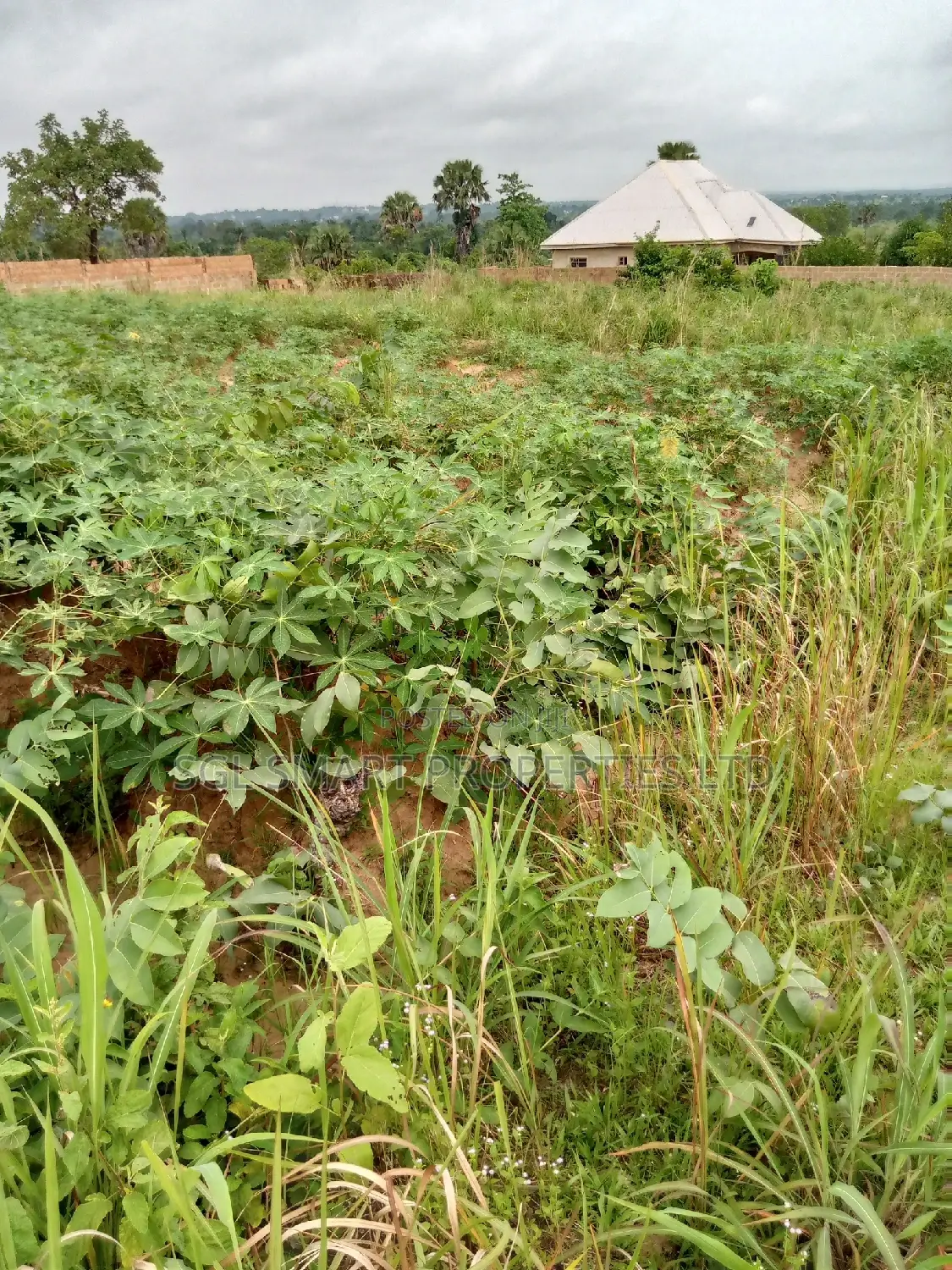 2 Plots of Land for Sale at ISU in Awka