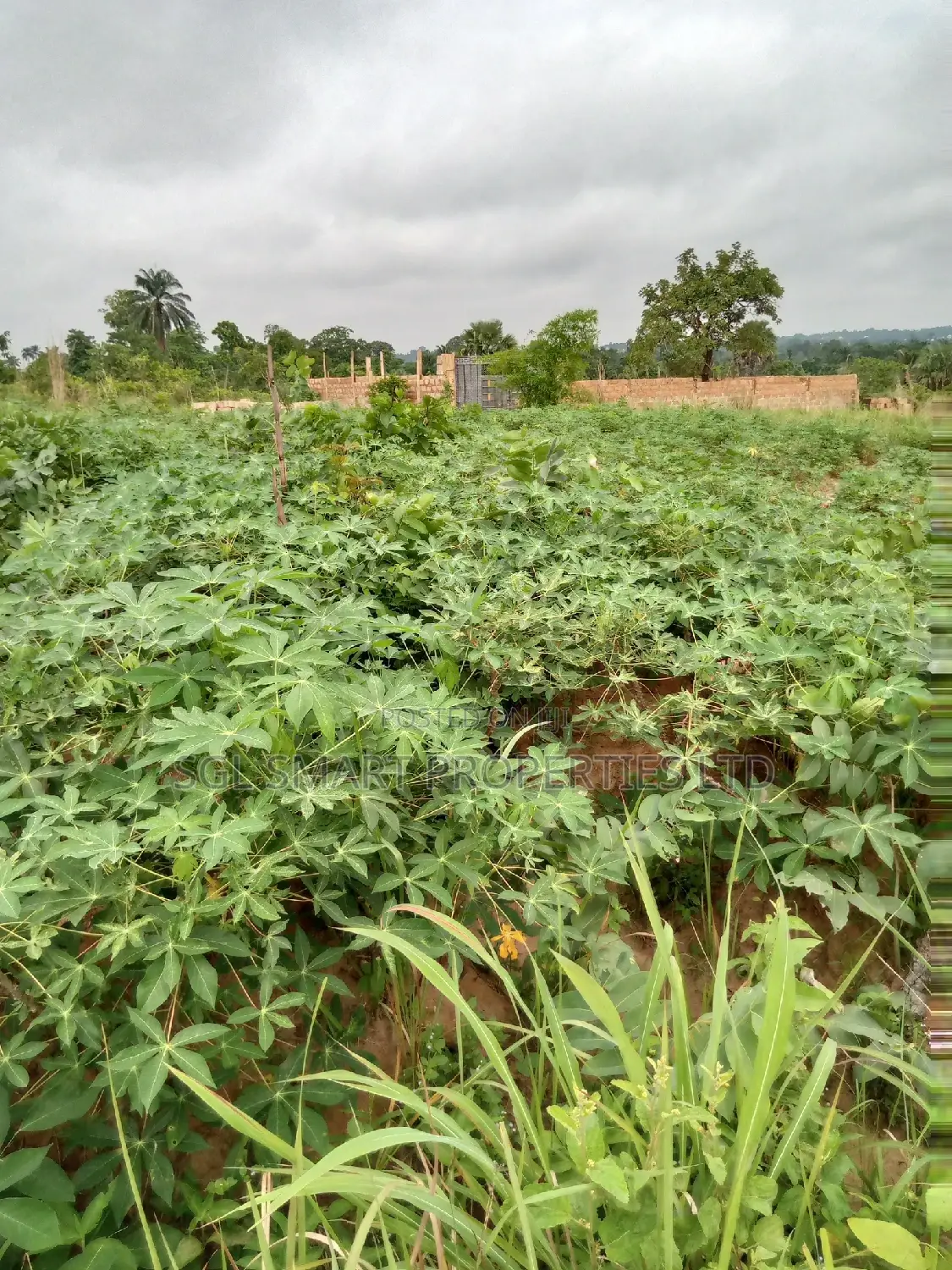 2 Plots of Land for Sale at ISU in Awka
