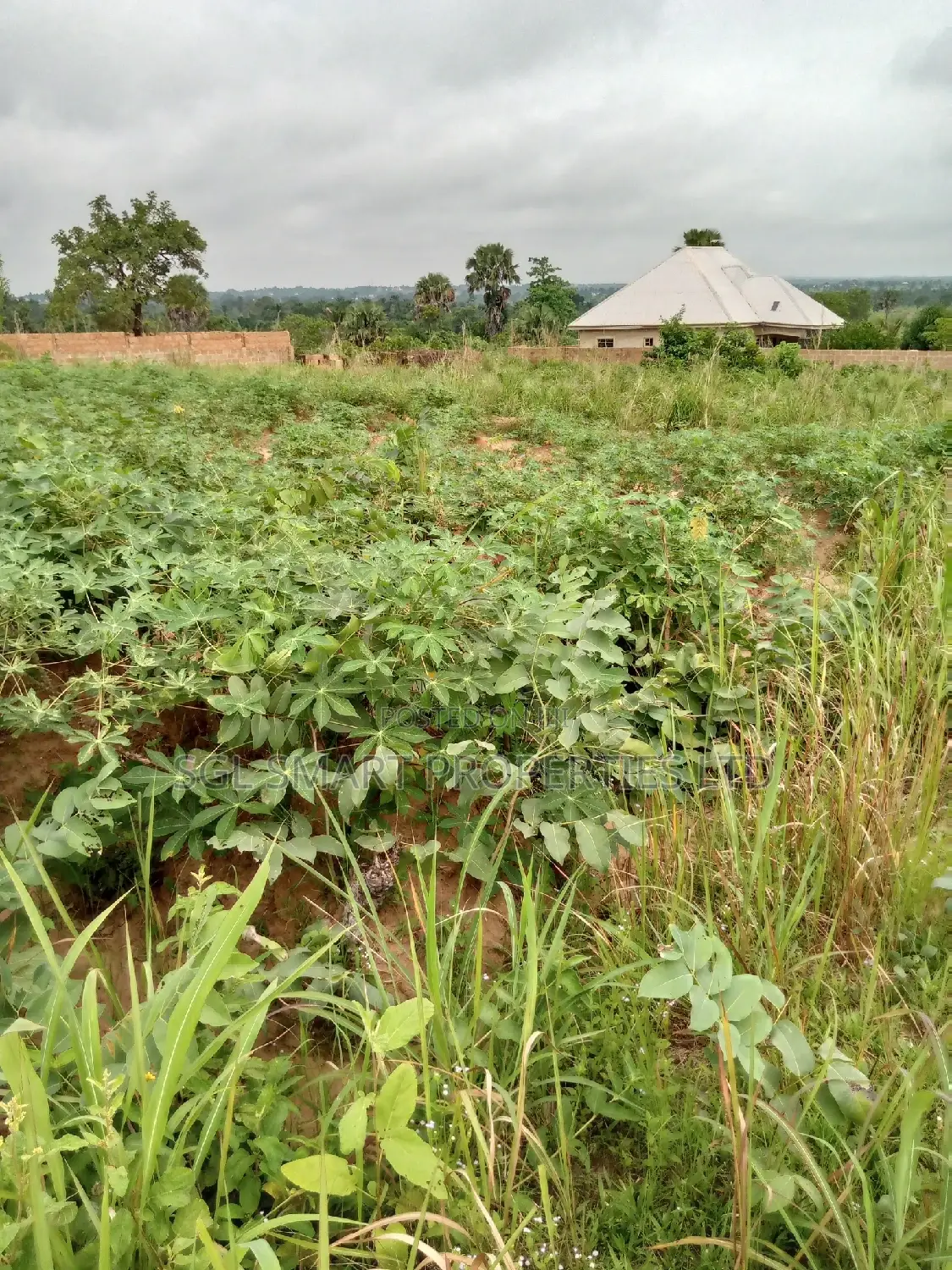 2 Plots of Land for Sale at ISU in Awka