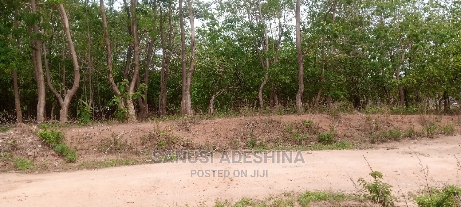 2000sqm an Fcda C of O Paper at Katampe Main Abuja in Katampe (Main)