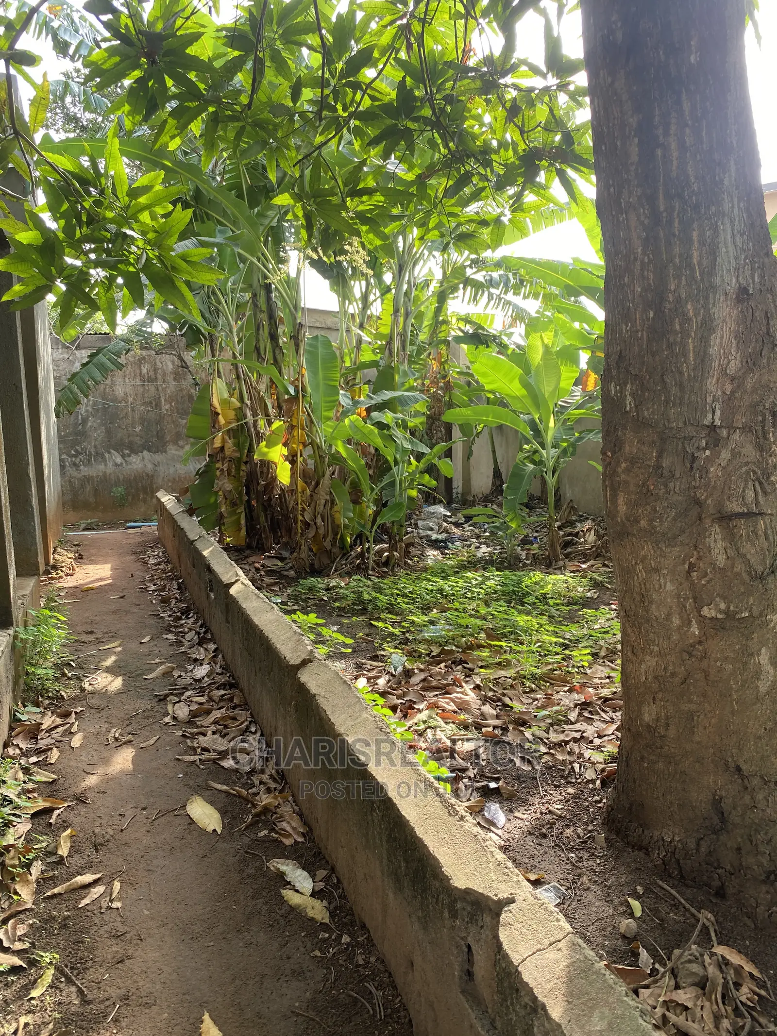 200 Acres of Farmland CHI/ Ajanla Farms in CHallenge / Ibadan