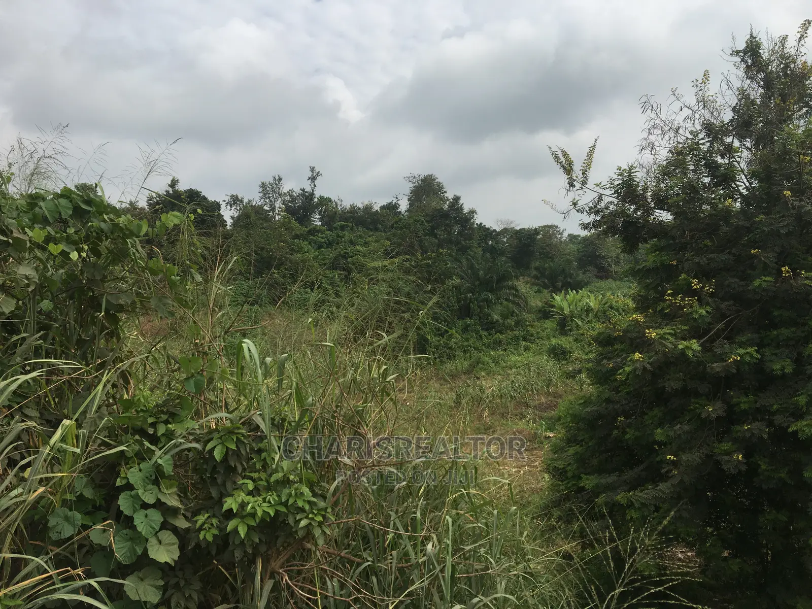 200 Acres of Farmland CHI/ Ajanla Farms in CHallenge / Ibadan