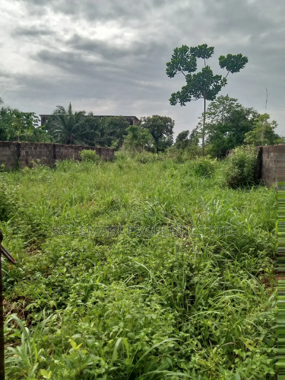 2 Plots of Land at Ifite Close to Miracle Junction in Awka