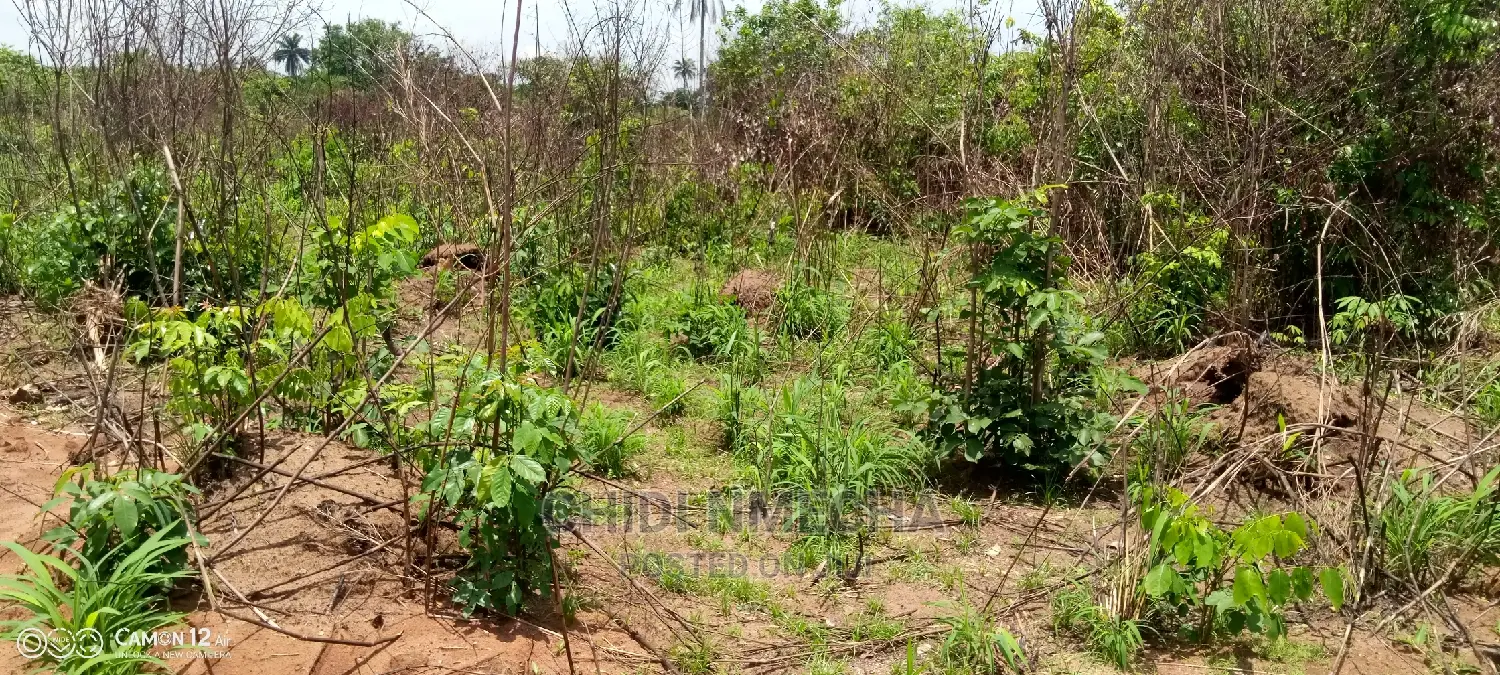 A Plot of Land in Owerri